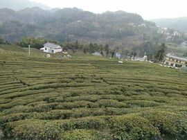 硒都人主播照片