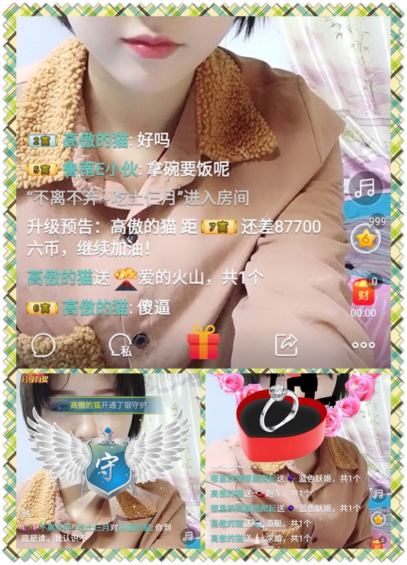 猫猫锚主播照片