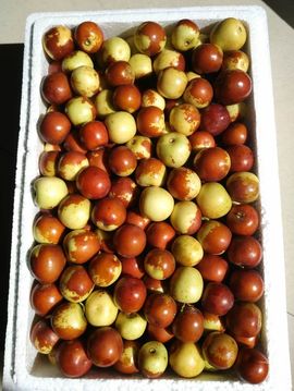 一秒钟の记忆主播照片