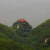 肖主任