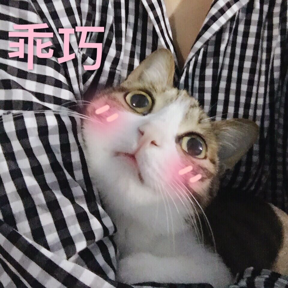 豆子在努力的主播照片