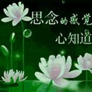 丁汉兰的头像