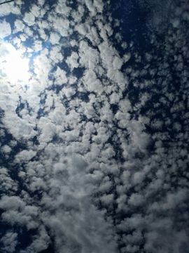 红姐的幸福生活主播照片