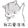 猪🐷女孩