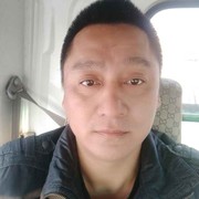 北极的狼l