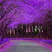 别闹快吃药