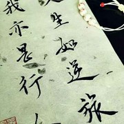 阴阳树的头像