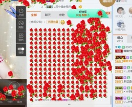 🍀柠檬🌴主播照片