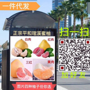 怡欣柚乡