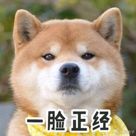 丫头唱歌给你听主播照片