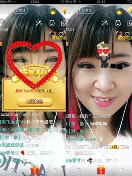 一只雁~主播照片