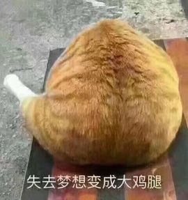 喵阿咪呀.主播照片