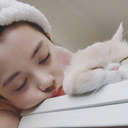 杨大美人从心开始头像