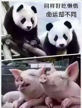美好II回忆主播照片