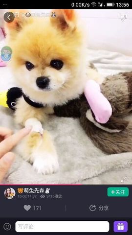 ✨媳婦⭐求🌙帶走✨主播照片