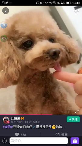 ✨媳婦⭐求🌙帶走✨主播照片