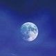 ＆太空10的头像