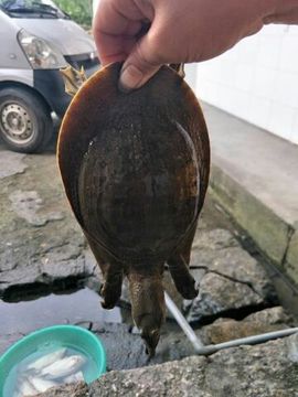 168888大叔主播照片