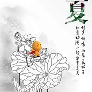 张u9