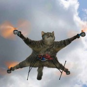 筱猛子海报