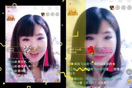 一只雁~主播照片