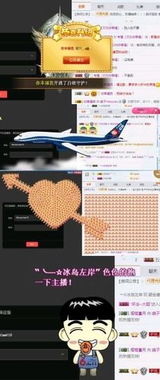 海鸽晚上见主播照片