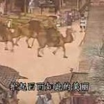 安静wv