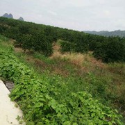 雨过天晴s1