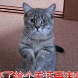 昵称违规，请重新修改海报