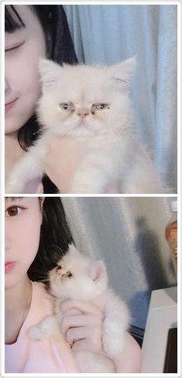 元气🎀小萝莉主播照片