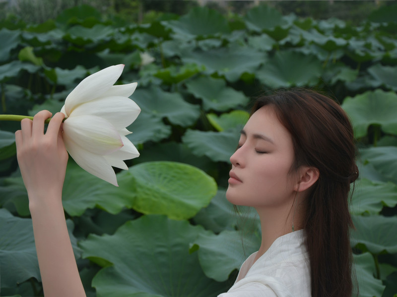 雁邚女的主播海报