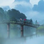 九九八十一✔海报