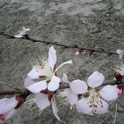 惠哥来了海报