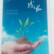 龙飞凤武9
