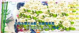 语落^主播照片