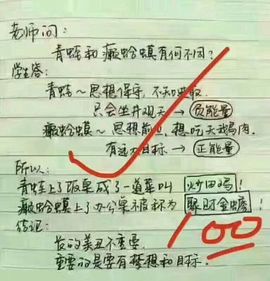 菲儿💅主播照片