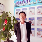 都宝（东鼎）
