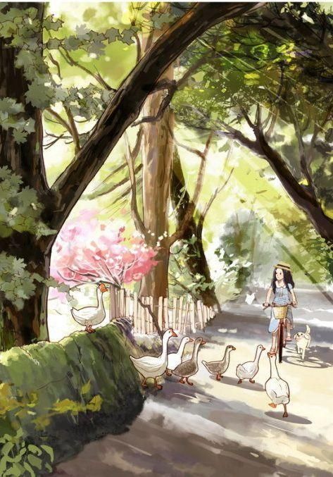 ?﹏菓寶゜微光向暖?的主播照片