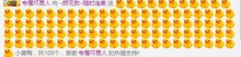 ~菲儿~不忘初心主播照片
