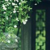 雨锐9