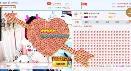 一只雁~主播照片
