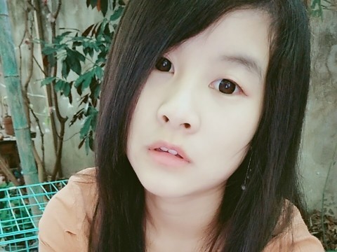 一只猫呀海报