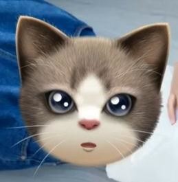 漩︽╯❤☆❤╰︽颩主播照片