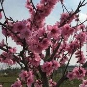 是否ueOWIU2E海报