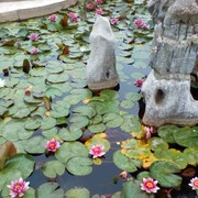 陈红祥*