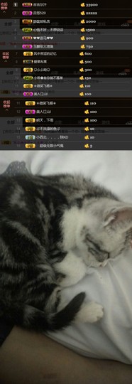 小雪梨停播主播照片