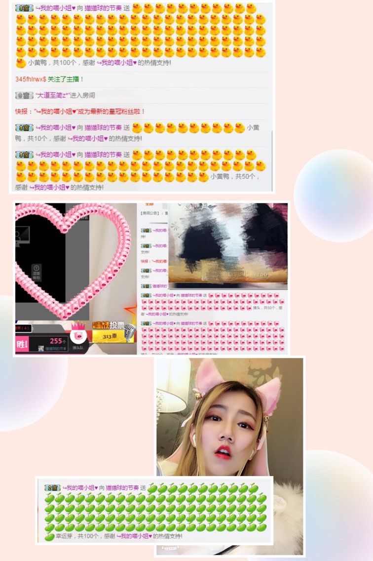 猫猫球的节奏的主播照片