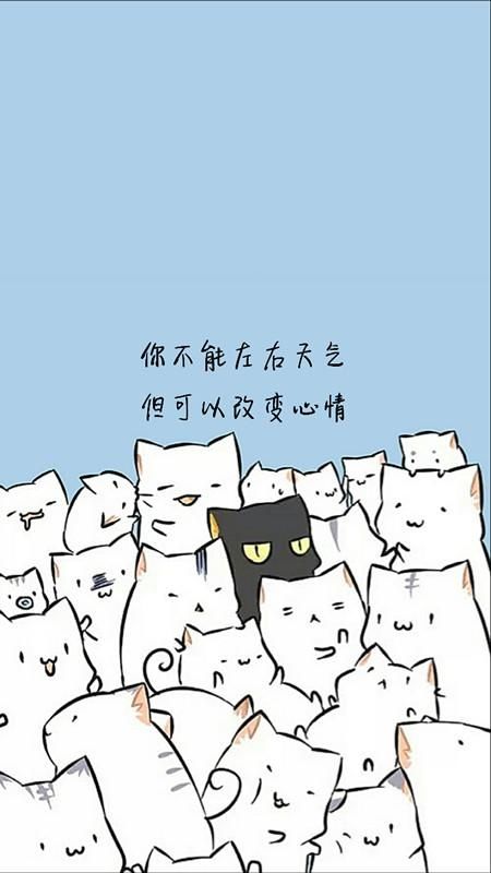 ?﹏菓寶゜微光向暖?的主播照片