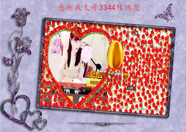 开心❤️❤️果主播照片