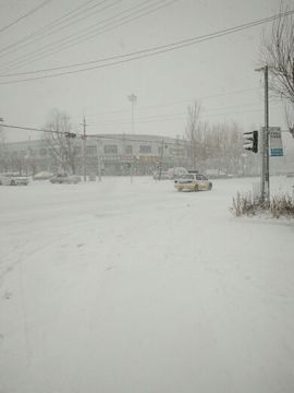 ♔颜三岁🌻言言主播照片